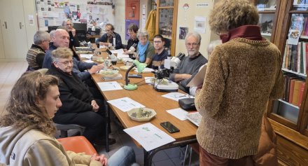 Une assemblée studieuse