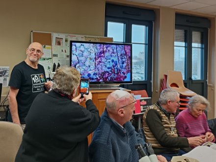 Les lichens à la télé