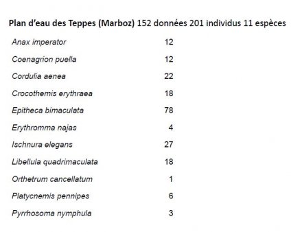 Espèces observées au plan d'eau des Teppes